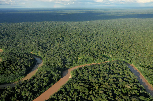 Amazon Rainforest's Acreage .jpg
